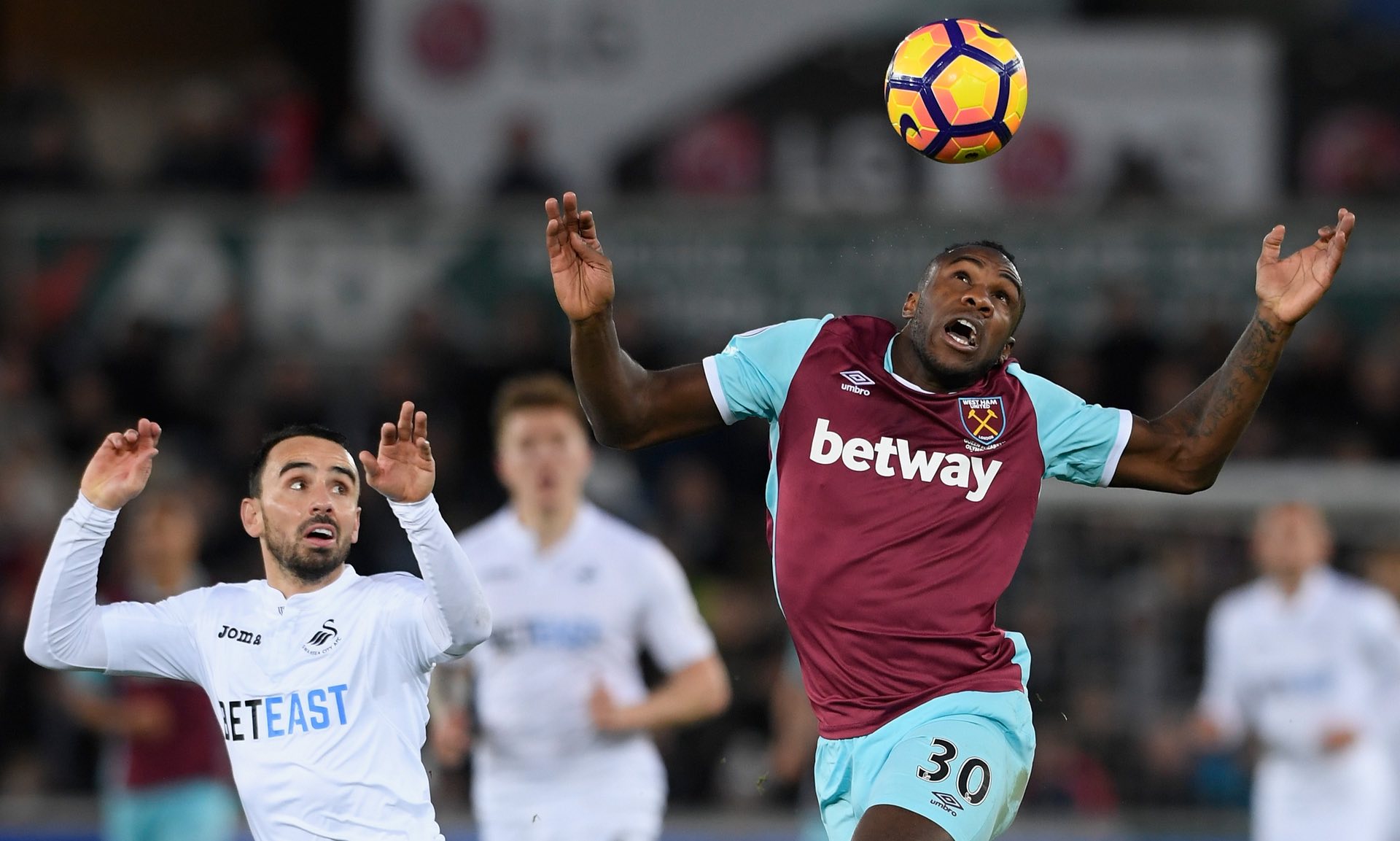 对他的信任 对他的信任